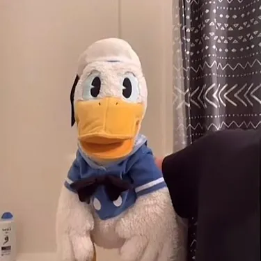 donaldduccarchive