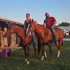 annabelles__eqq