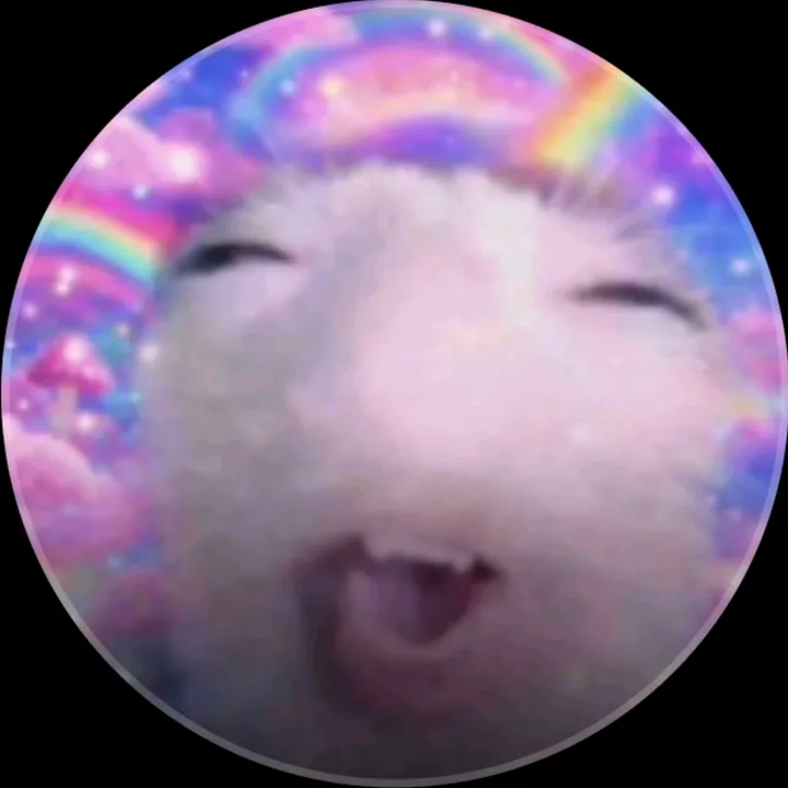 emmabottacrashout6