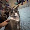 ilubmycat69