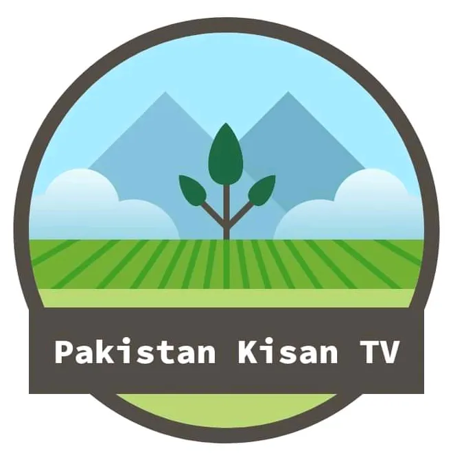 pakistankisantv