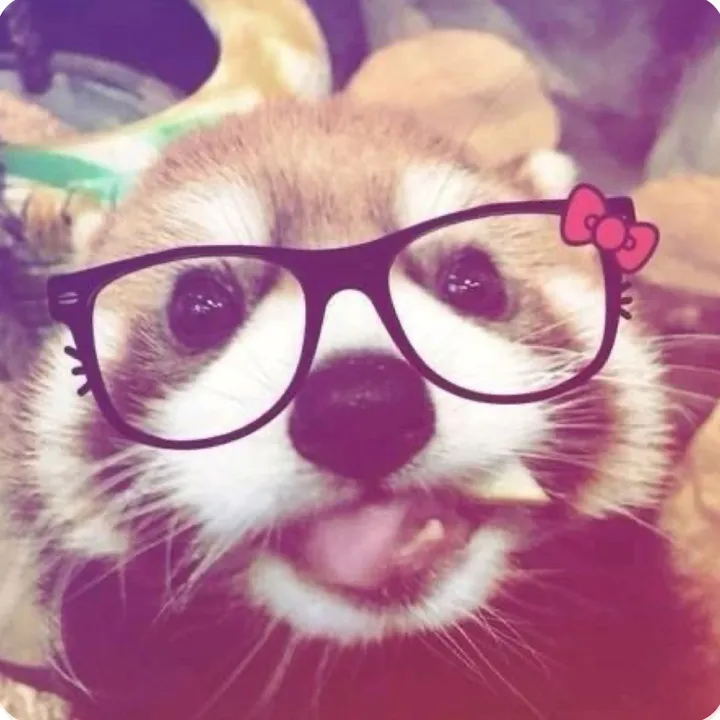 @v4mphub