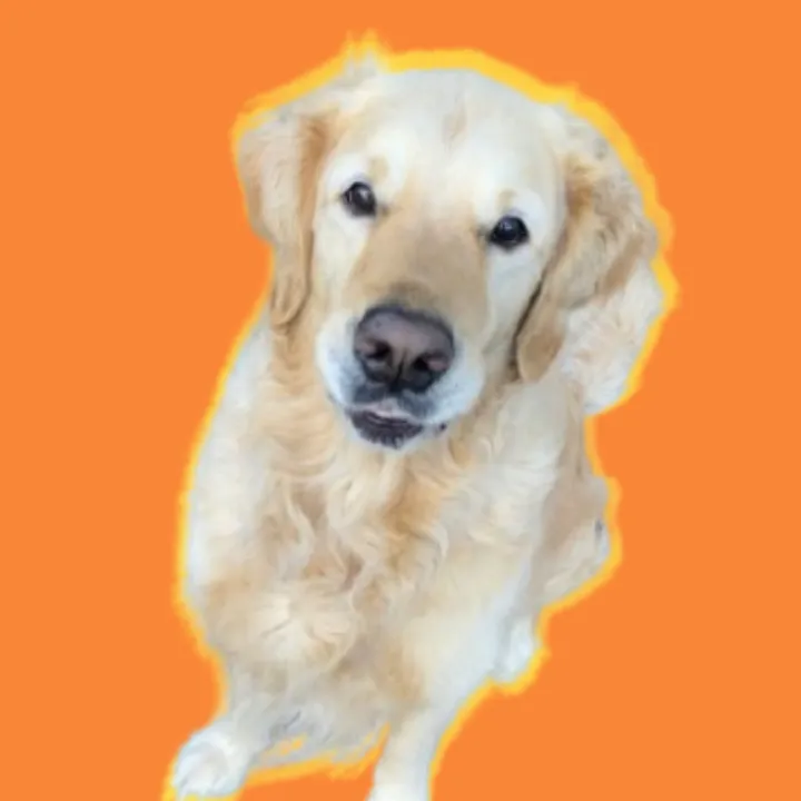 @watchwithbruce