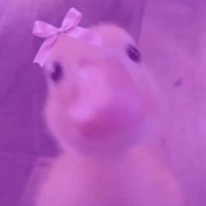 lilahhh2234