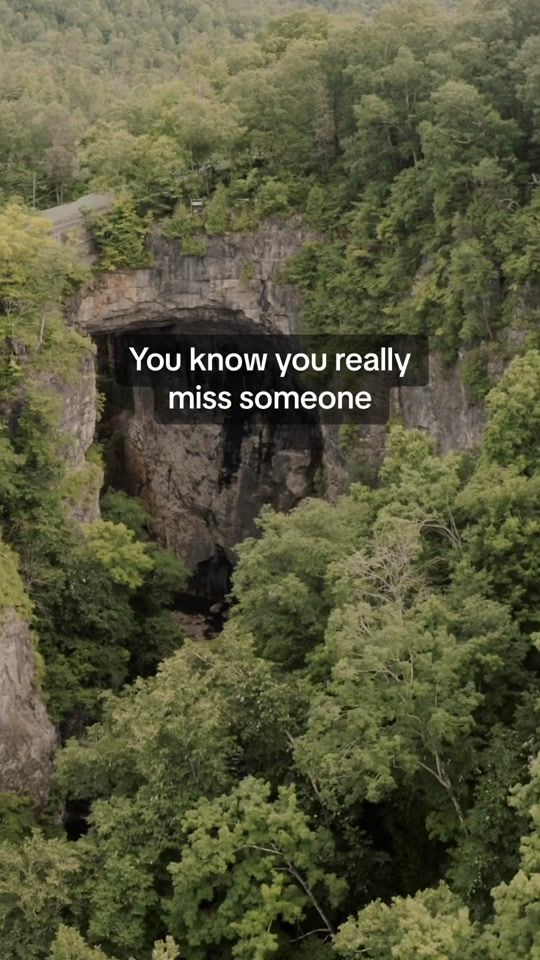 TikTok video thumbnail by vibe.plus