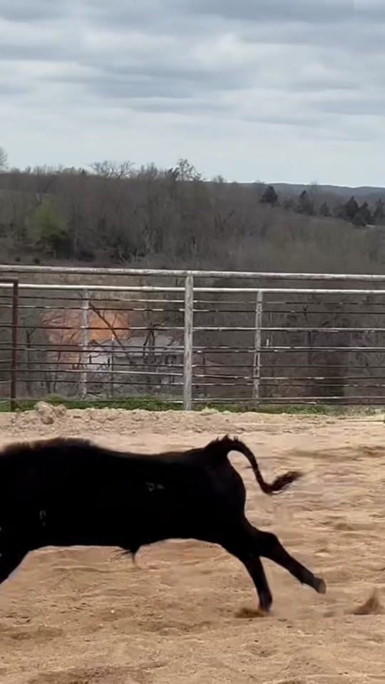 TikTok video thumbnail by bcroper33