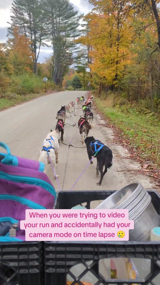 TikTok video thumbnail by yukikazesiberians