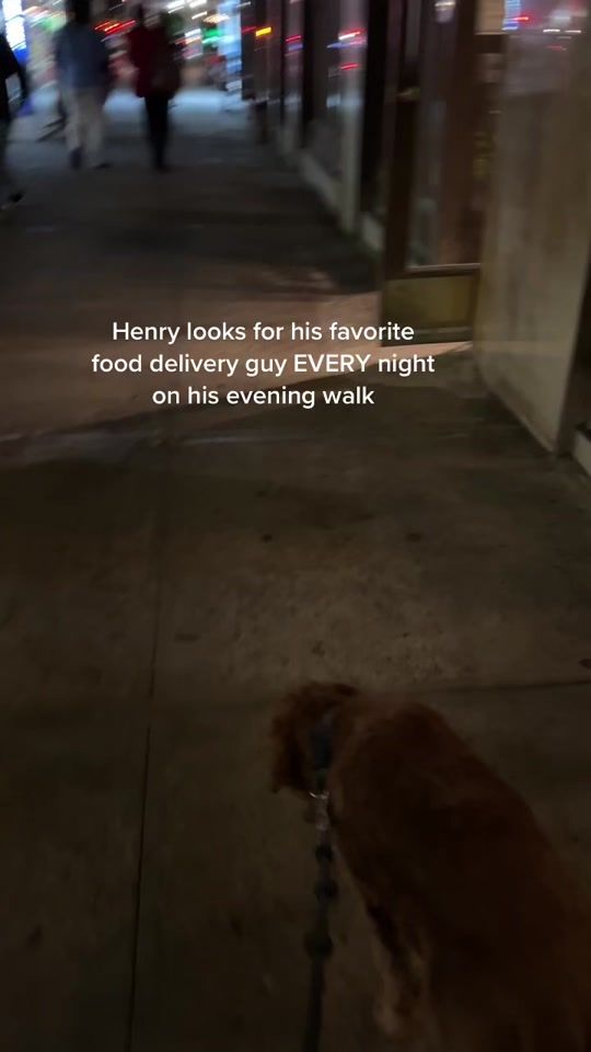 TikTok video thumbnail by ellefinfinl