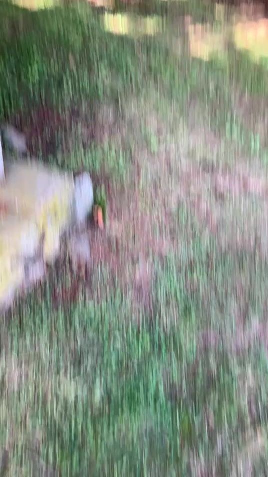 TikTok video thumbnail by lucho0218