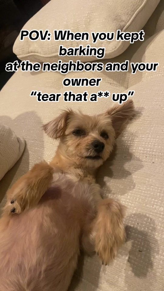TikTok video thumbnail by ontraystable