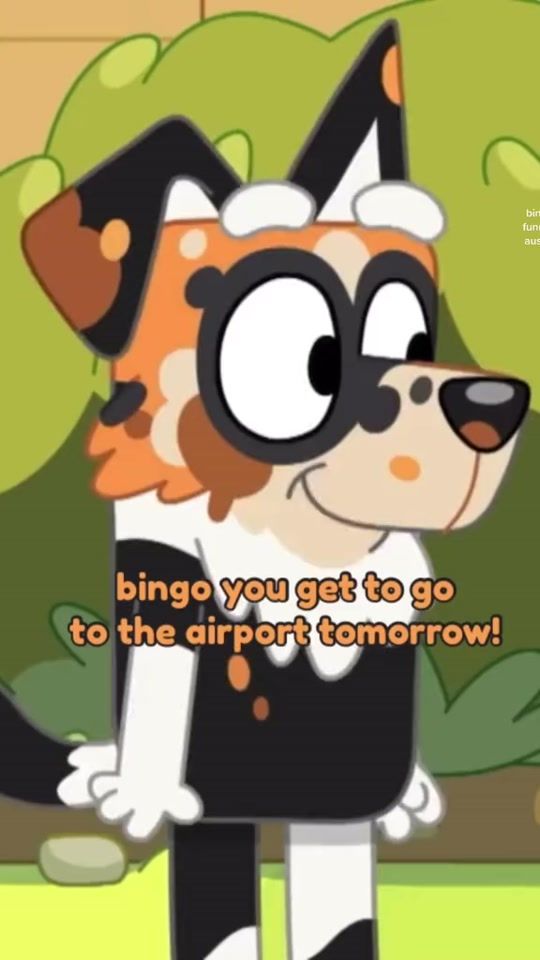 TikTok video thumbnail by bluey_.and_.bingo