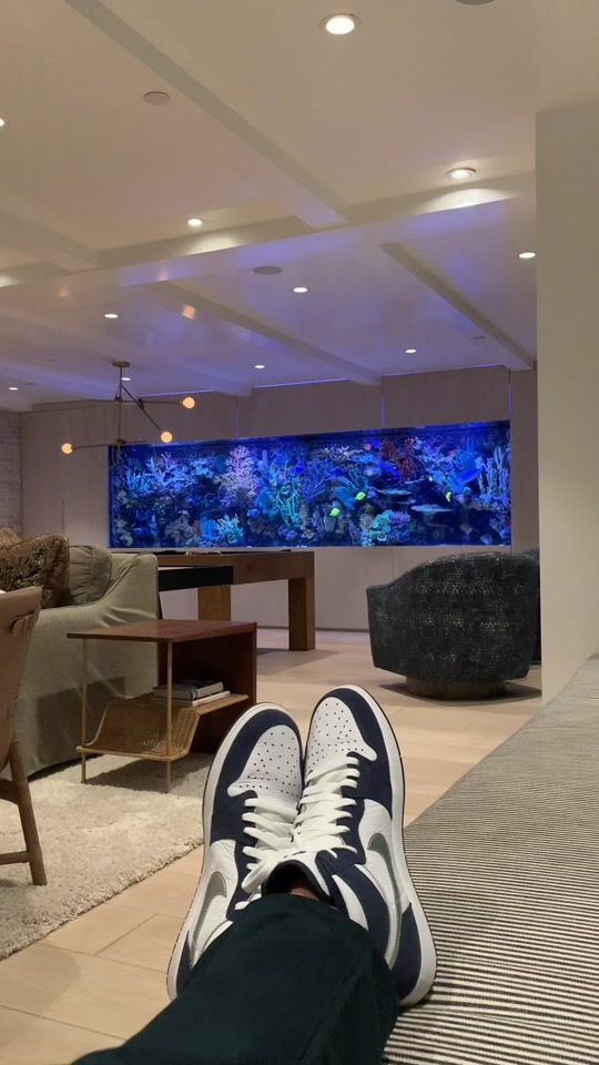 TikTok video thumbnail by infinityaquariums