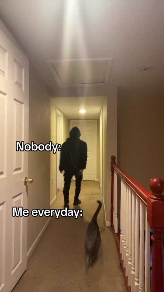 TikTok video thumbnail by nashdadon