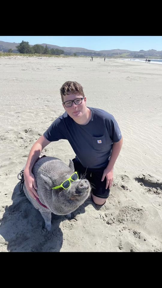 TikTok video thumbnail by kevinbaconpig