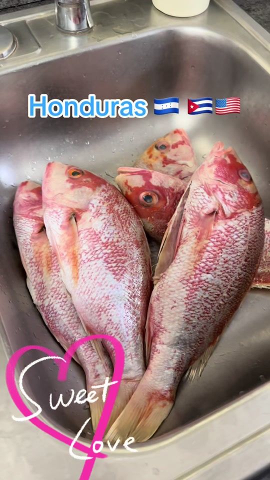 TikTok video thumbnail by hondurascuba