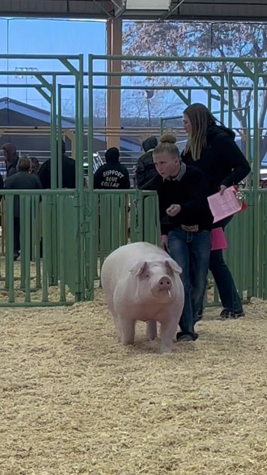 TikTok video thumbnail by dadsonfarms
