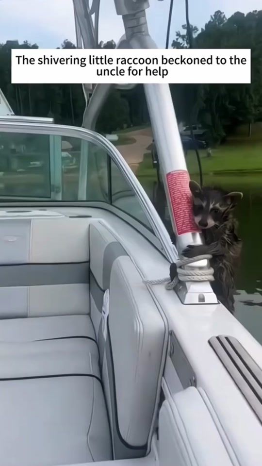 TikTok video thumbnail by ann_ann_98