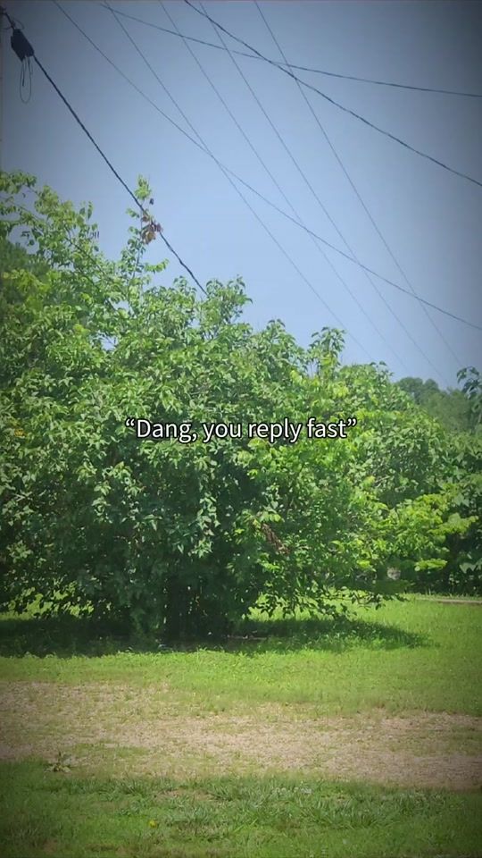 TikTok video thumbnail by harleycox18