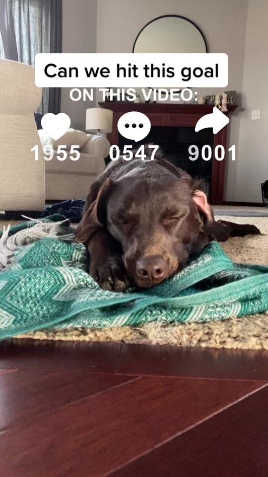 TikTok video thumbnail by imnyla6