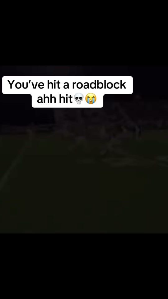 TikTok video thumbnail by flockbirds4
