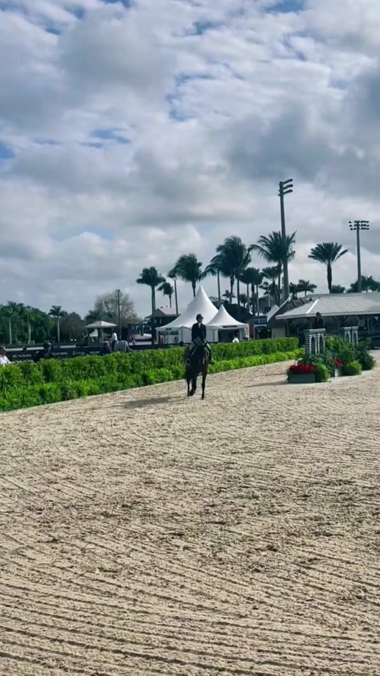 TikTok video thumbnail by clara.equestrian