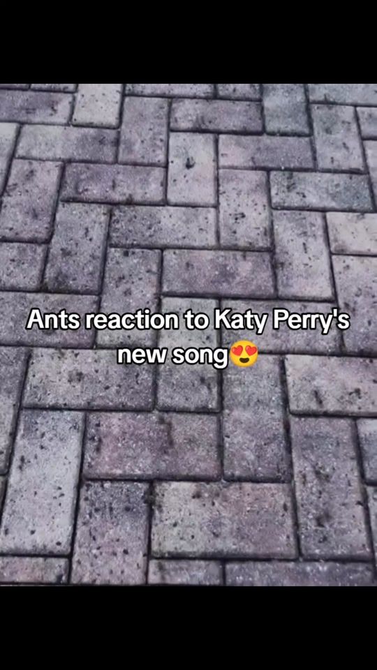 TikTok video thumbnail by kq3lys