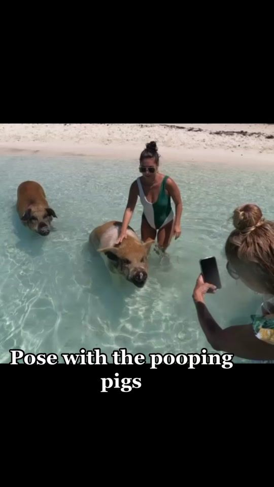 TikTok video thumbnail by tropicalgangster
