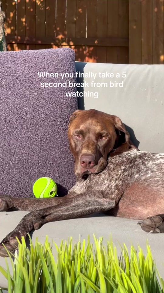 TikTok video thumbnail by the.real.rusty