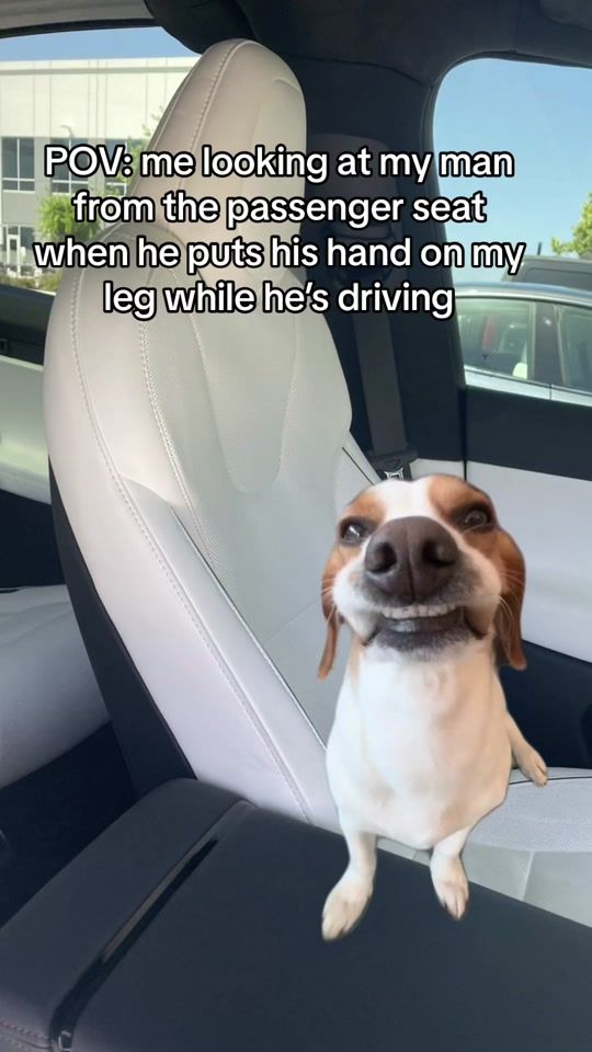 TikTok video thumbnail by tarynrhey