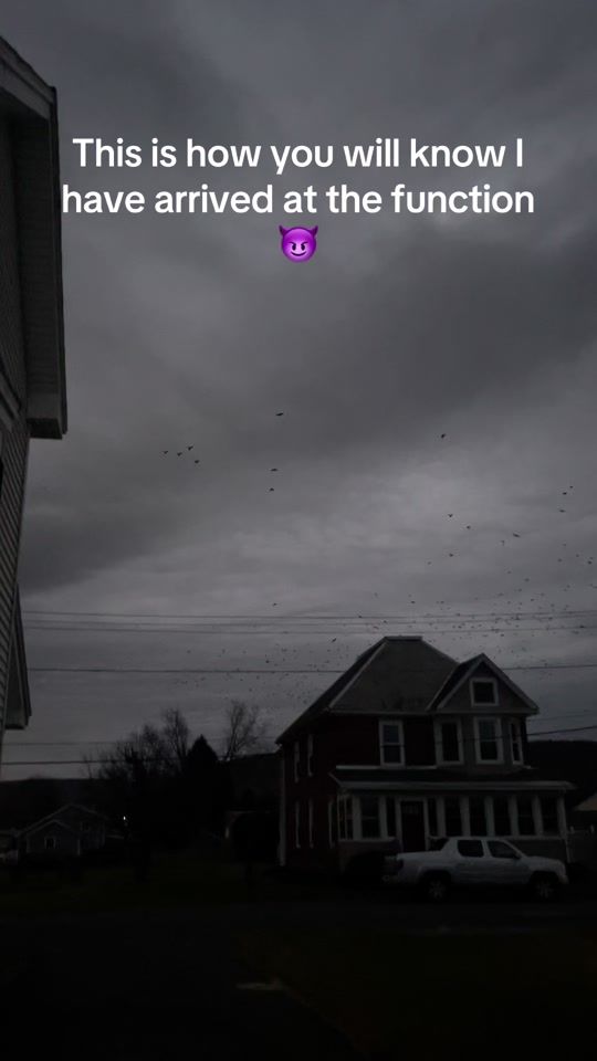 TikTok video thumbnail by ariadnespider