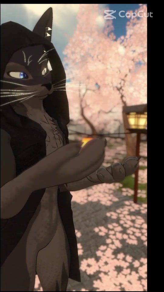 TikTok video thumbnail by bunjamin37