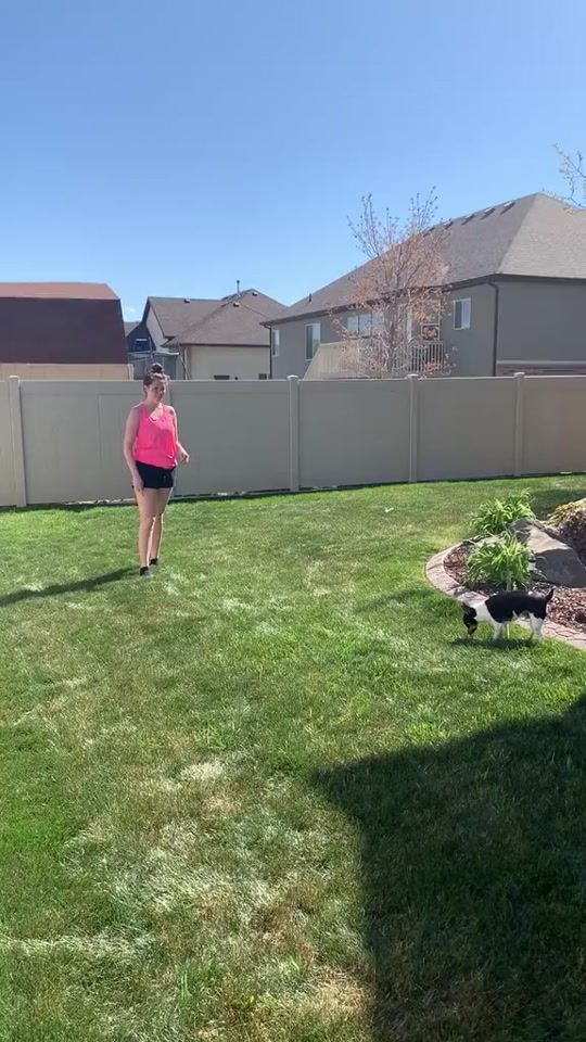 TikTok video thumbnail by alexmakesadsongs