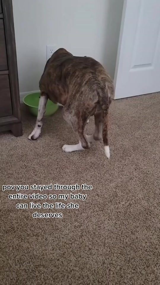 TikTok video thumbnail by user659063627
