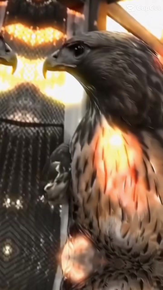 TikTok video thumbnail by fatahsamir5
