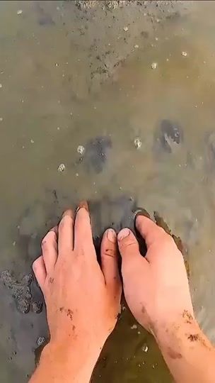 TikTok video thumbnail by alexxjxj
