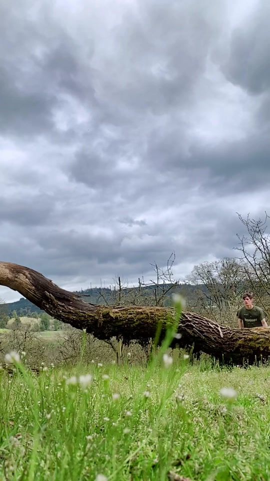 TikTok video thumbnail by williambonnett