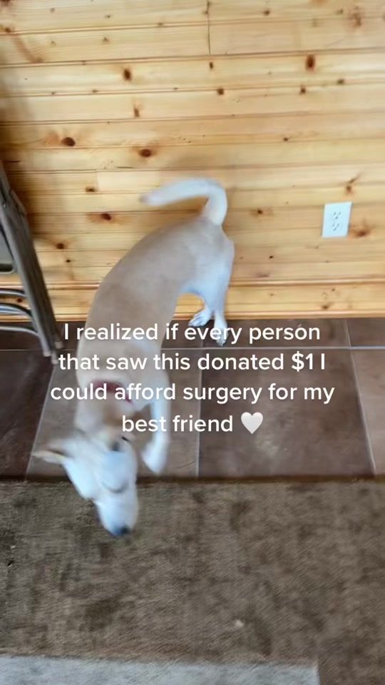 TikTok video thumbnail by helpbeagetsurgery