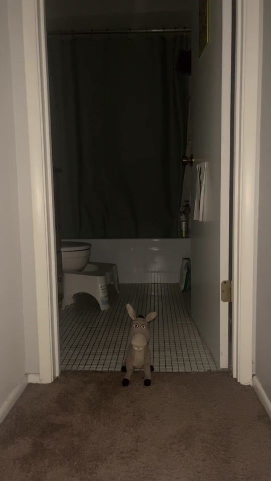 TikTok video thumbnail by slopbogbinky