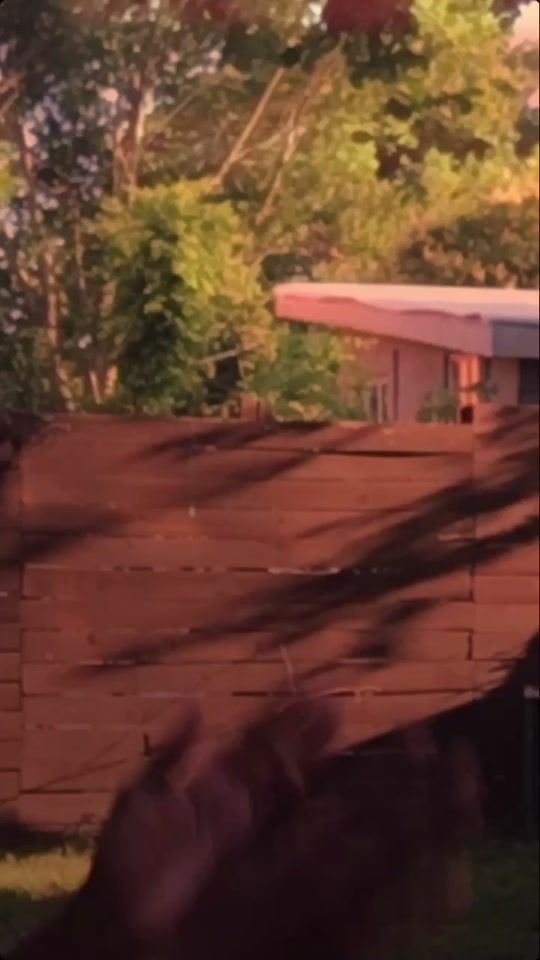 TikTok video thumbnail by tommygloverrr