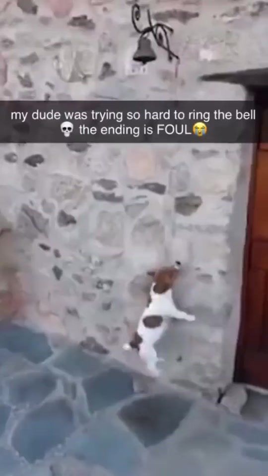 TikTok video thumbnail by someonesvideo