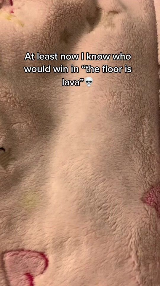TikTok video thumbnail by picklebutt2345