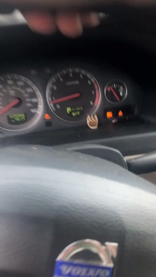 TikTok video thumbnail by nathanieltheweinerdog