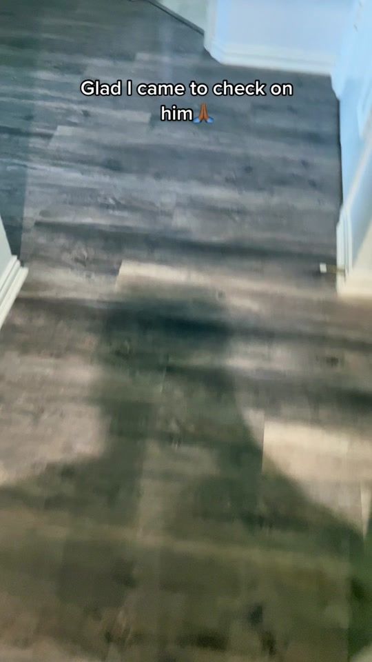 TikTok video thumbnail by chase_cashman