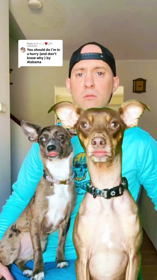 TikTok video thumbnail by mitchapalooza