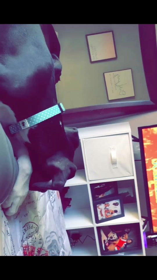 TikTok video thumbnail by thatslint