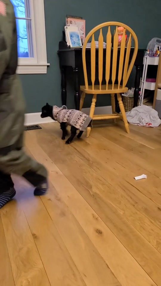 TikTok video thumbnail by mommyfarmer