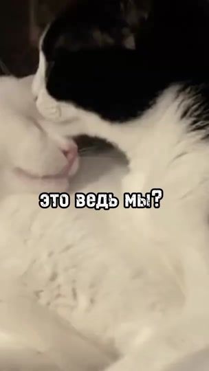 TikTok video thumbnail by reimiix