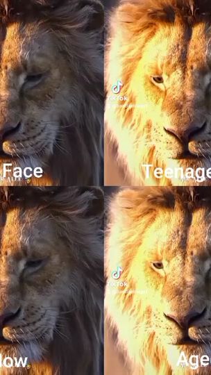 TikTok video thumbnail by bandorsrage1