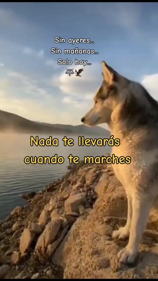 TikTok video thumbnail by esme_lemus09_10