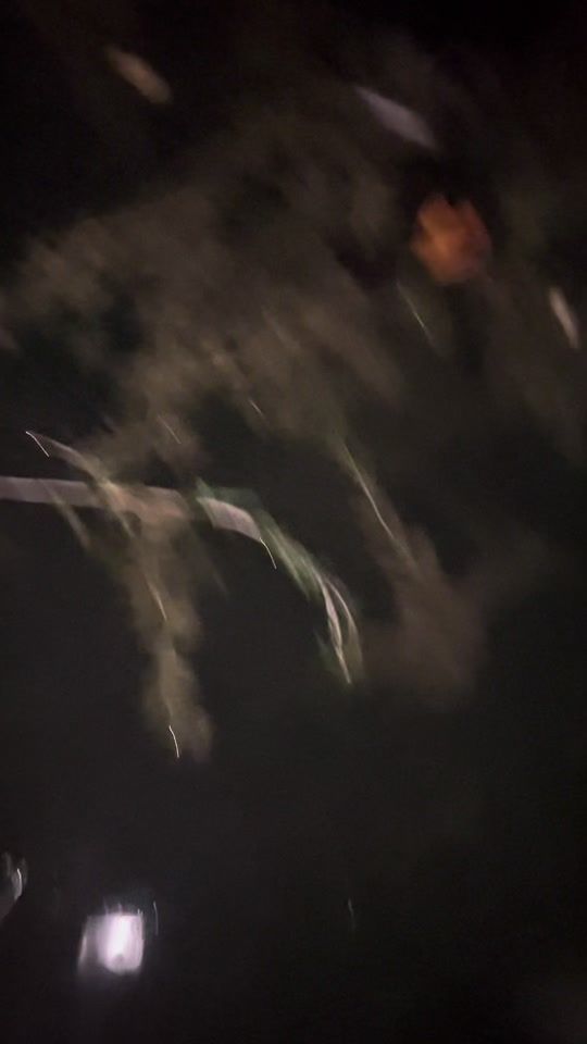 TikTok video thumbnail by mn_fishing01